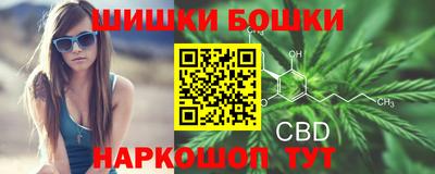 ПСИЛОЦИБИНОВЫЕ ГРИБЫ Канаш