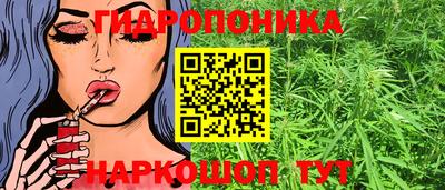 скорость Кингисепп