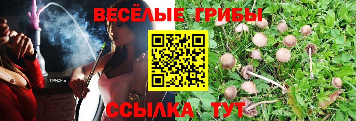 Галлюциногенные грибы MAGIC MUSHROOMS  Вход с VPN  Псилоцибиновые грибы Cubensis  Киржач 